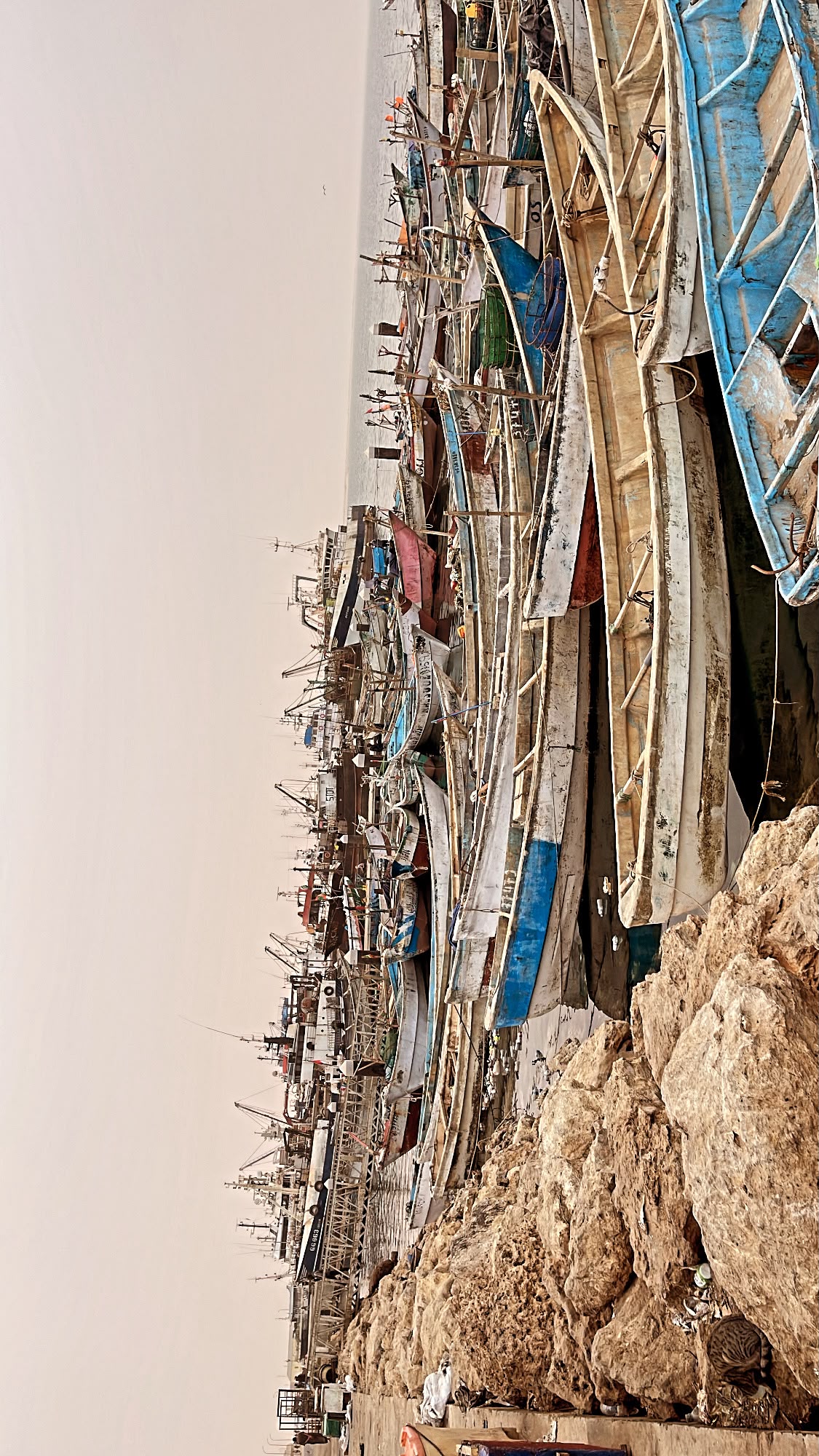 Bateaux de pêche au port